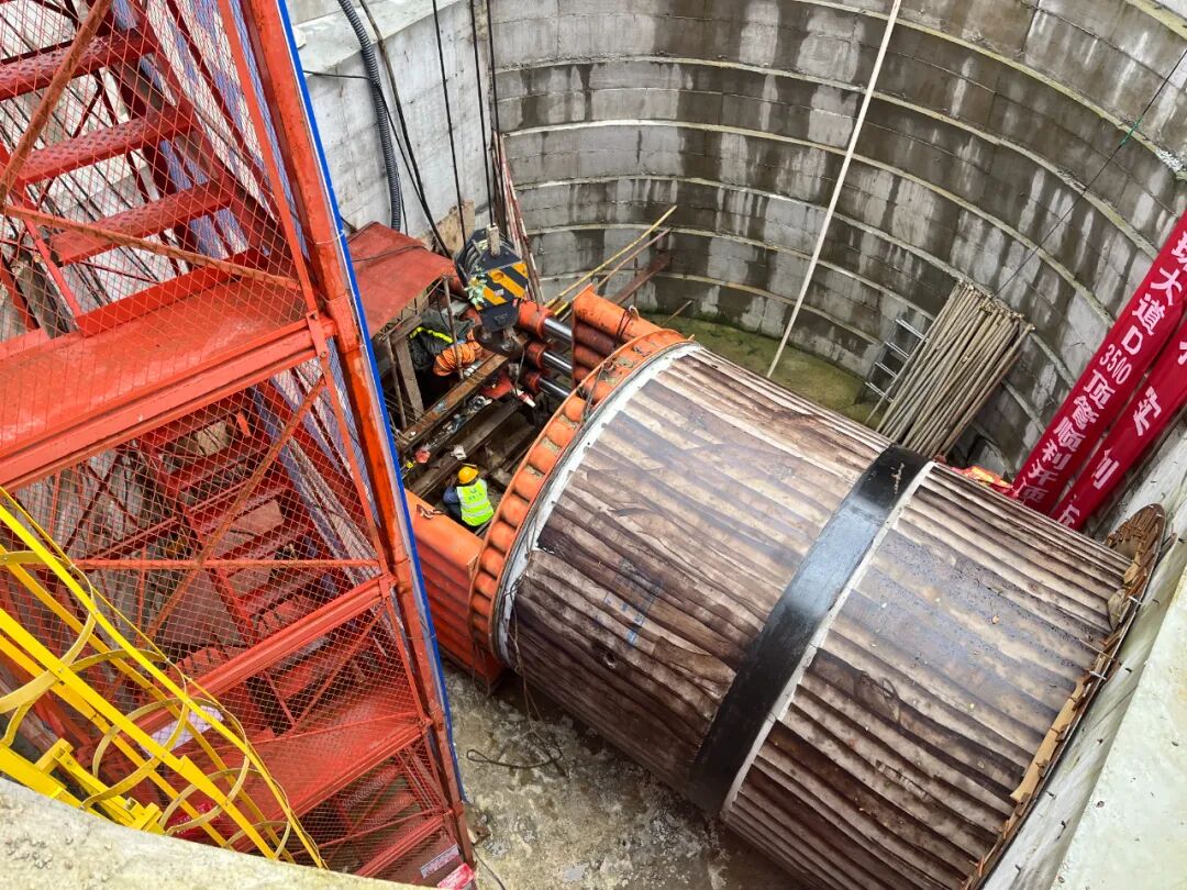 新奥资料免费精准新奥生肖卡